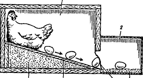 Гнездо для курицы несушки