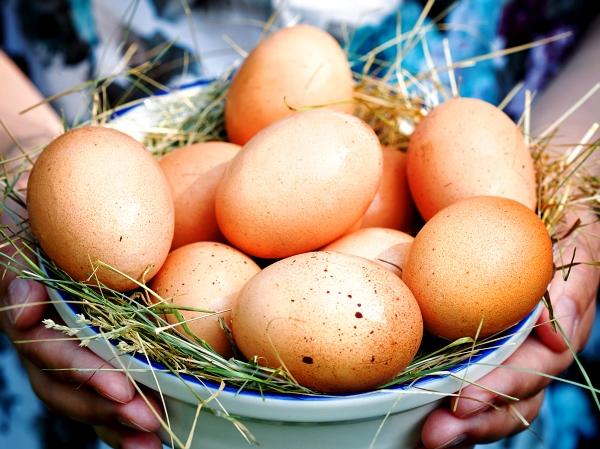 Домашние яйца от кур-несушек