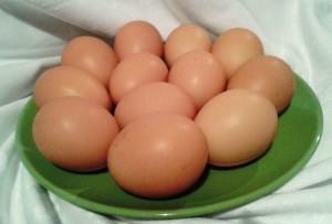 Яйца от кучинских куриц