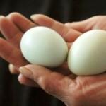 Два яйца на ладони