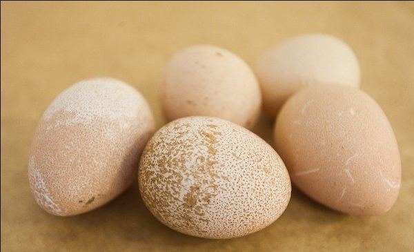 Фото пяти цесариных яиц