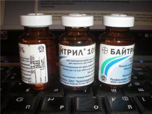 Препарат Байтрил для лечения колибактериоза