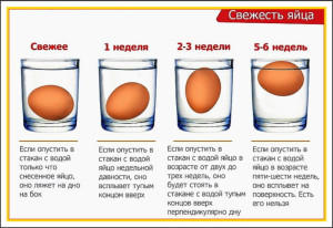 Проверка свежести яйца с помощью воды