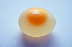 Фото яйца в пленке