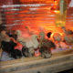 Фото цыплят в клетке под светильником